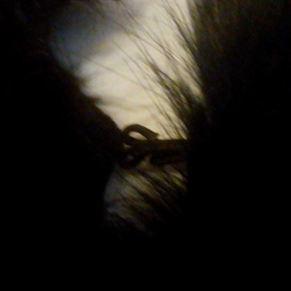 Women's wrap - Picture 2 of 4